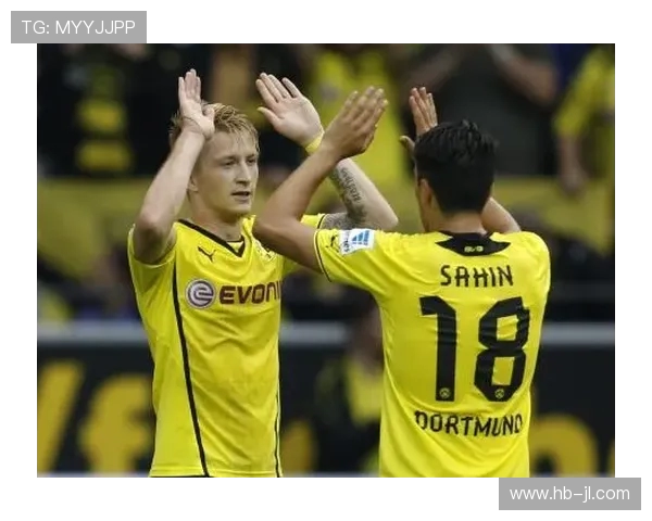 黄黑军团战力评估与德甲最新排名深度剖析及未来走势分析 黄黑军团战力评估与德甲最新排名深度剖析及未来走势分析