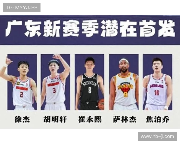 NBA篮板王榜单及顶级篮板手解析