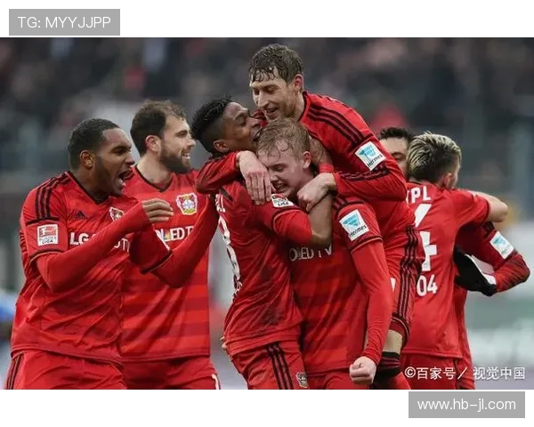 德甲球迷投资模式解析:会员制与股权制度研究 德甲球迷投资模式解析:会员制与股权制度研究